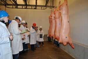 meat judging contest