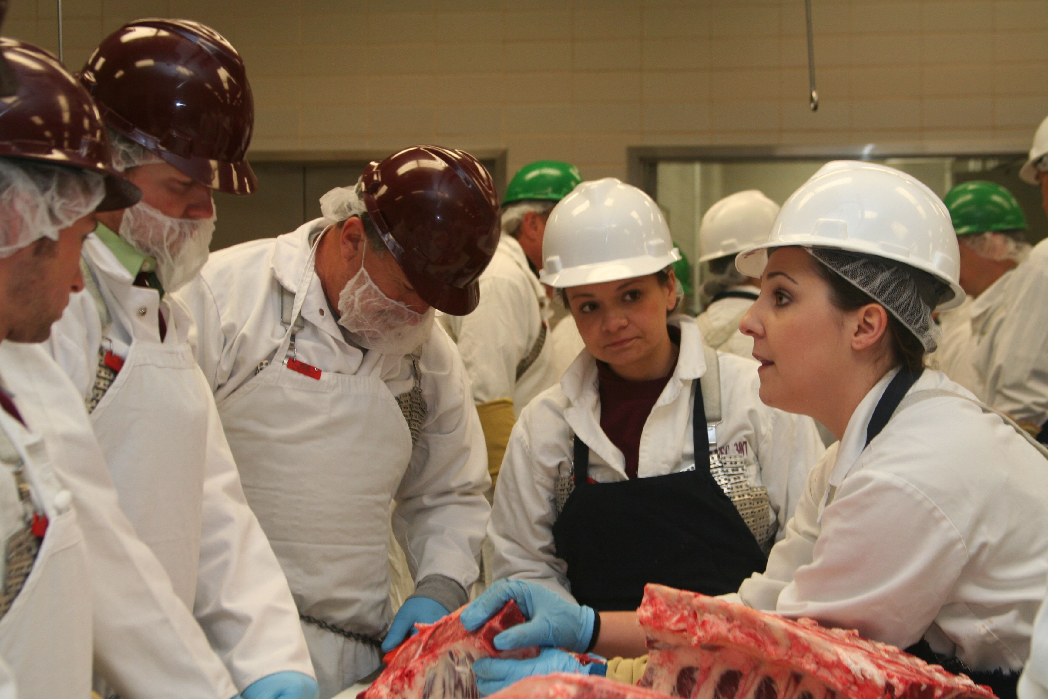 Beef 101 dates announced for 2016