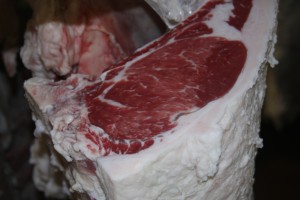 Muscular steatosis in ribeye, minor
