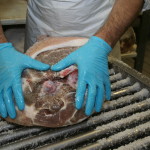 Pressing blood from femoral artery