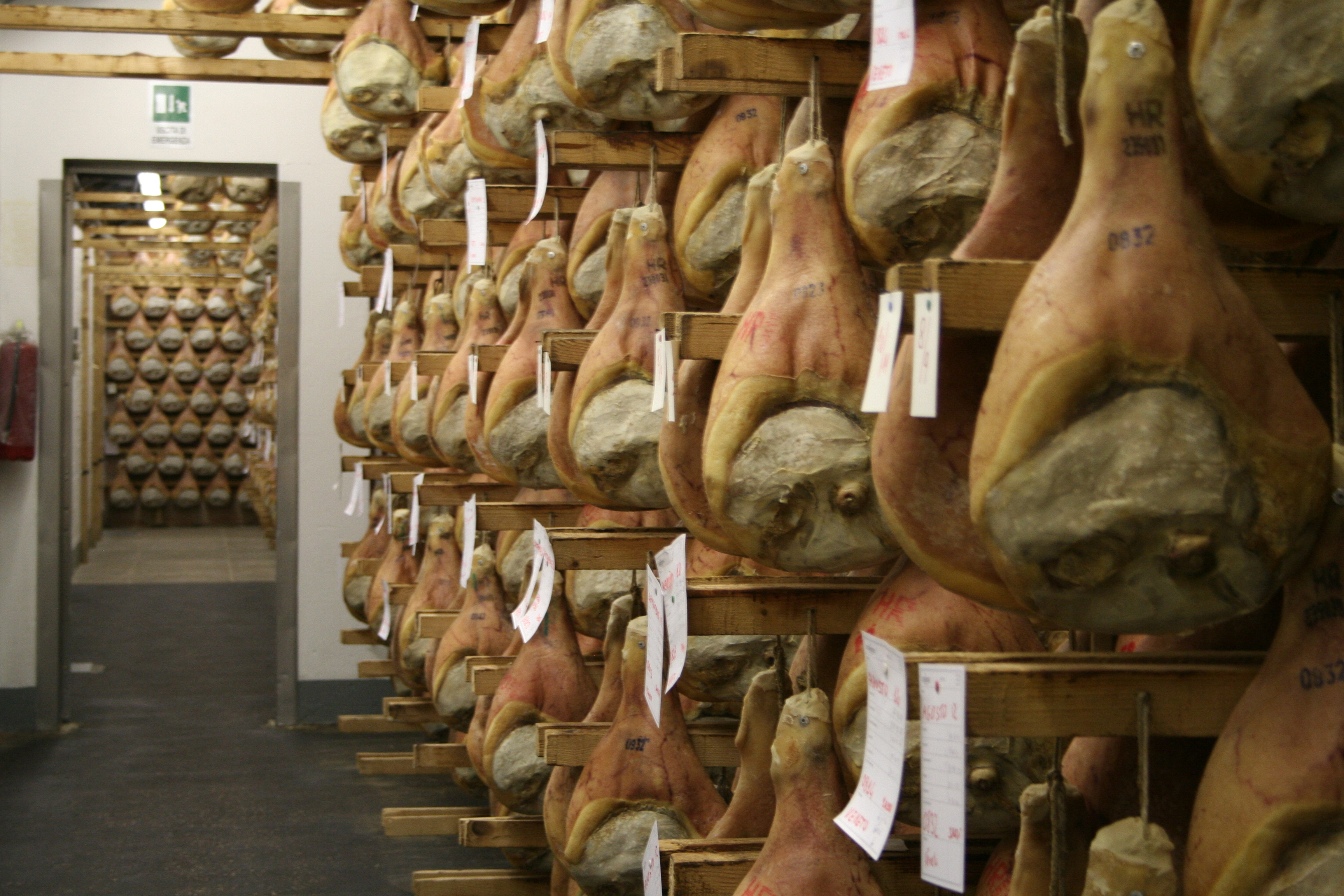 Tour of Attilio-Fontana prosciutto plant, Montagnana, Italy