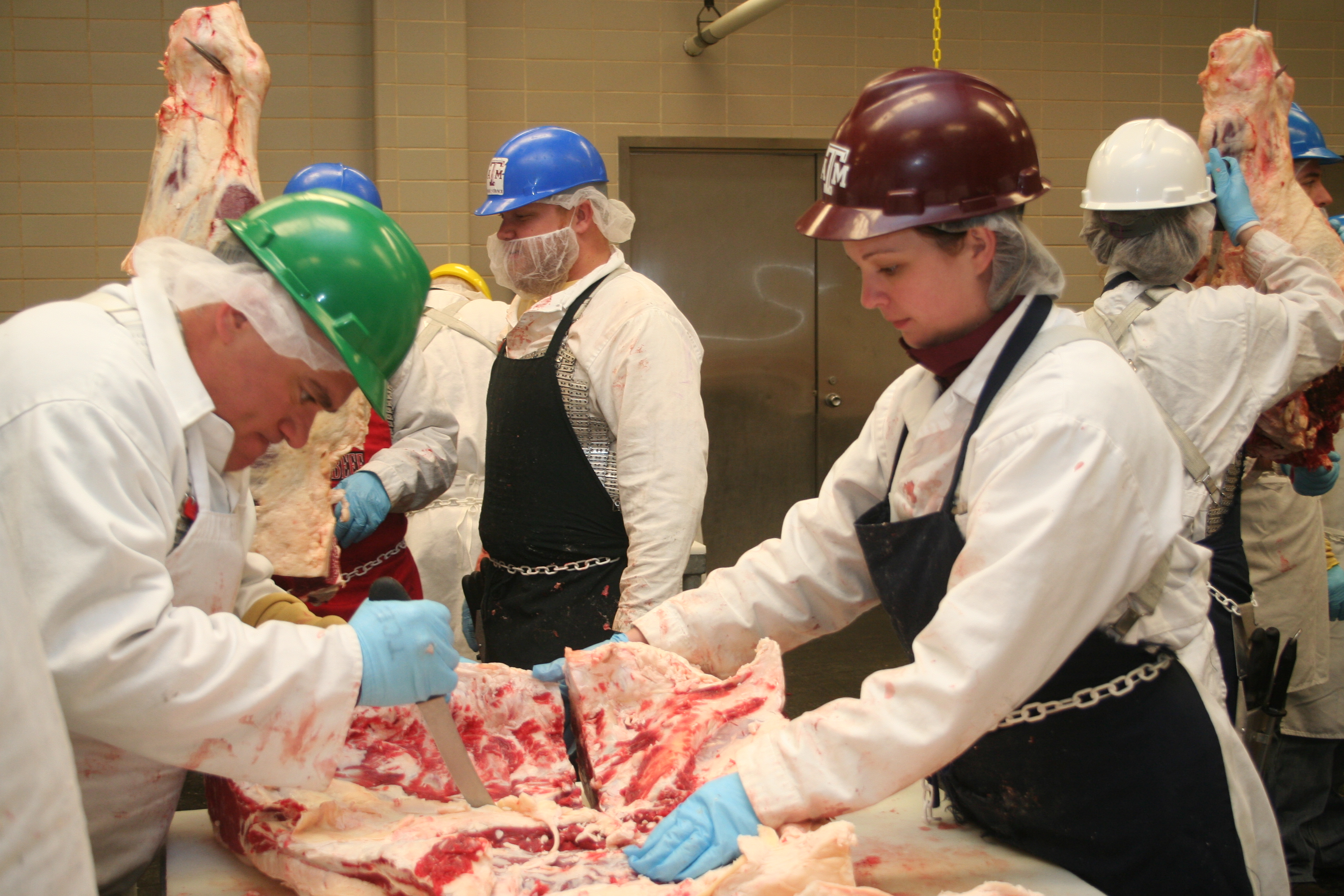 Meat Science graduate students gain valuable experiences leading carcass cutting groups