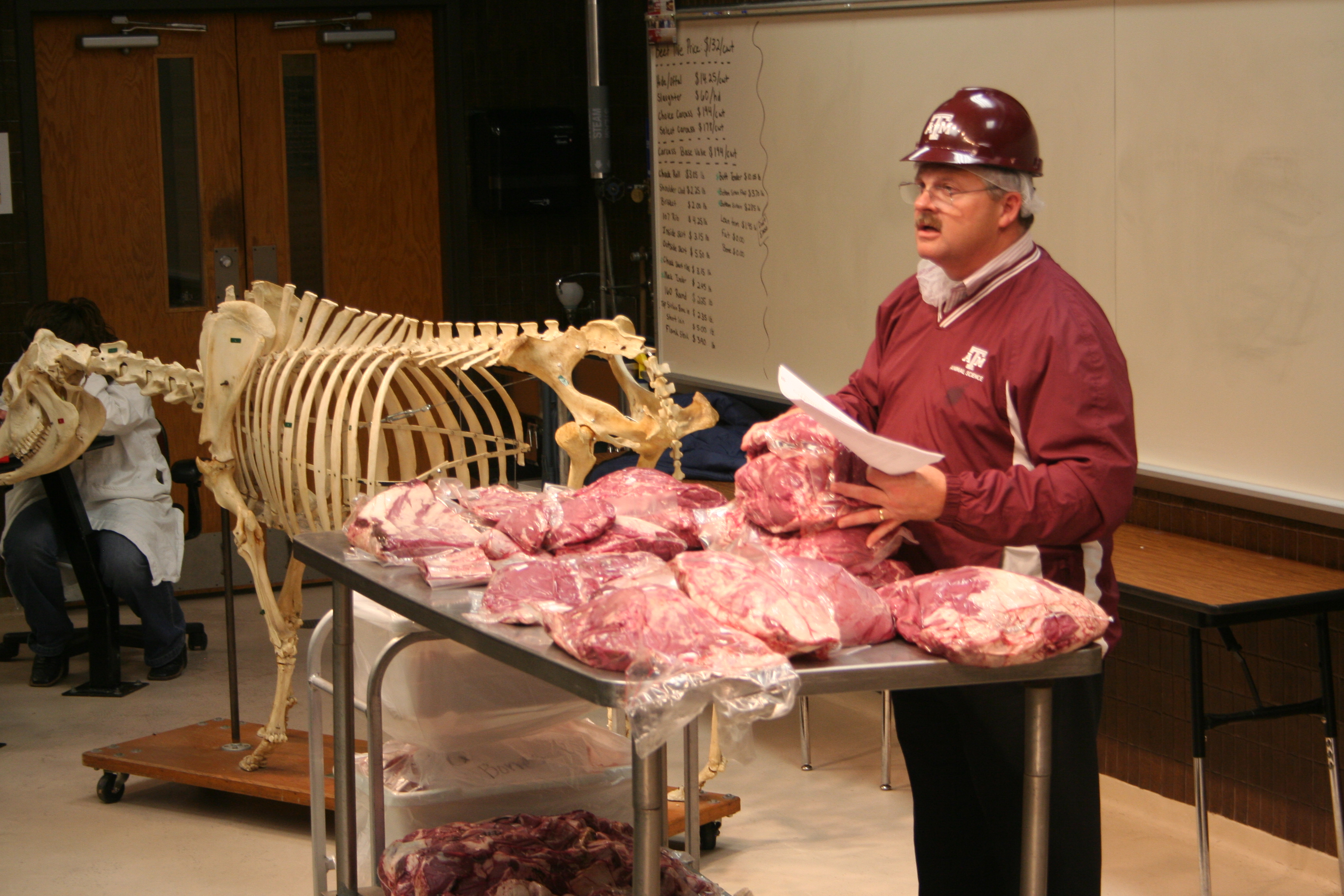 Beef carcass yields and value demonstration in ANSC 437