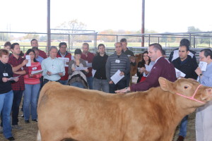 Brant Poe demonstrating live animal evaluation in Beef 101