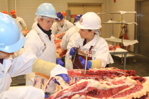 Leslie Frenzel Teaching Beef 101 Fab 2013