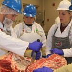 Lindsey Mehall teaching Beef 101 Fab 2013
