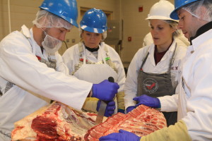 Lindsey Mehall teaching Beef 101 Fab 2013
