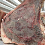 Sirloin dry-aging for 28 days