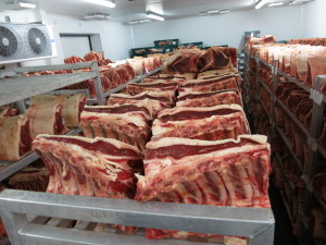 Fore ribs aging