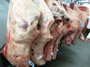 Beef hindquarters