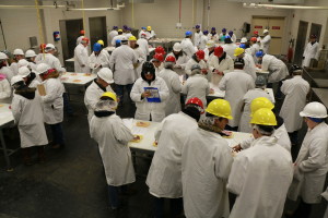 Participants identifying meat cuts