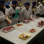 Meat identification