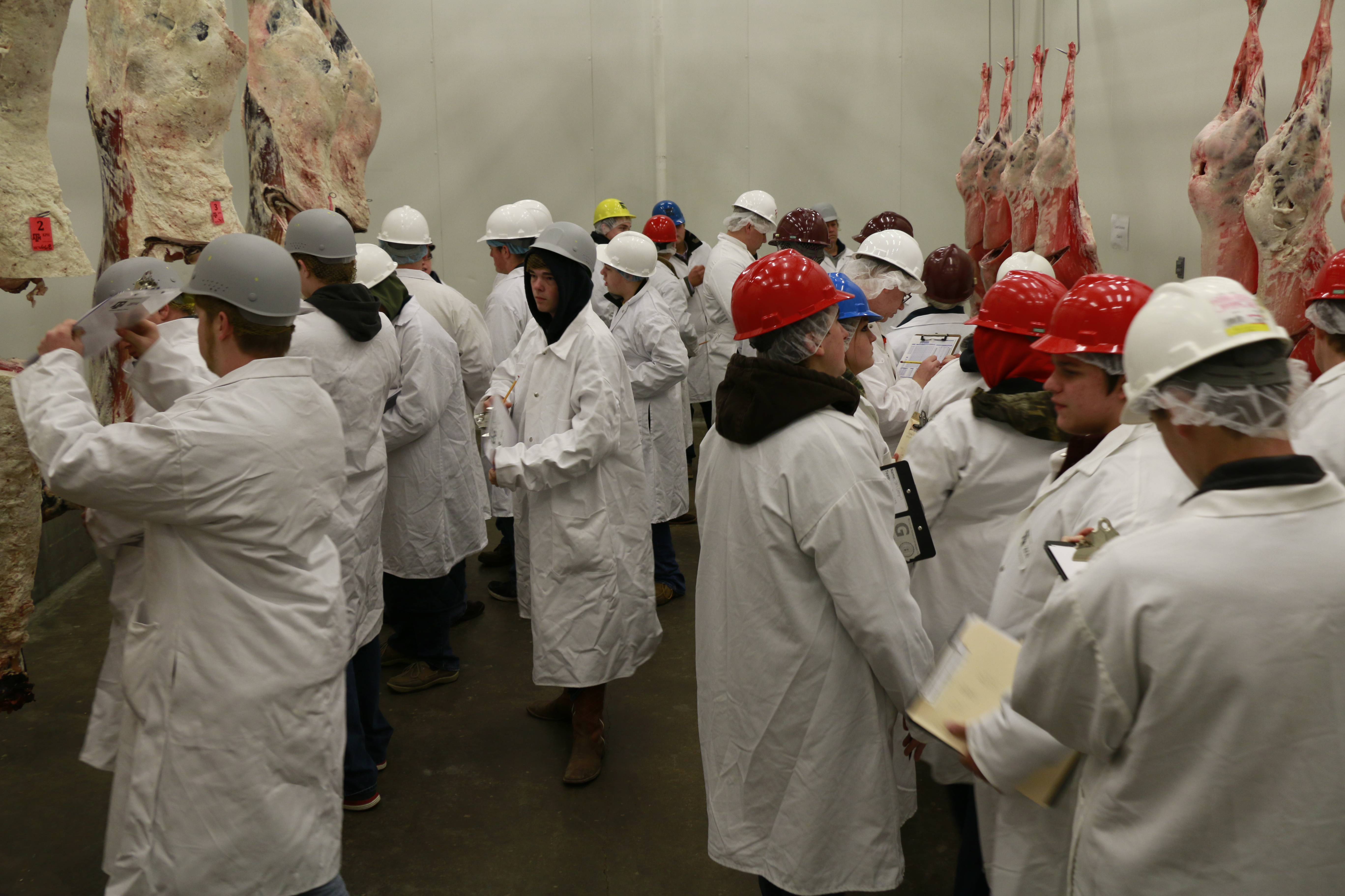 FFA/4-H Meat Judging Clinic held at Rosenthal Meat Center, March 29, 2014
