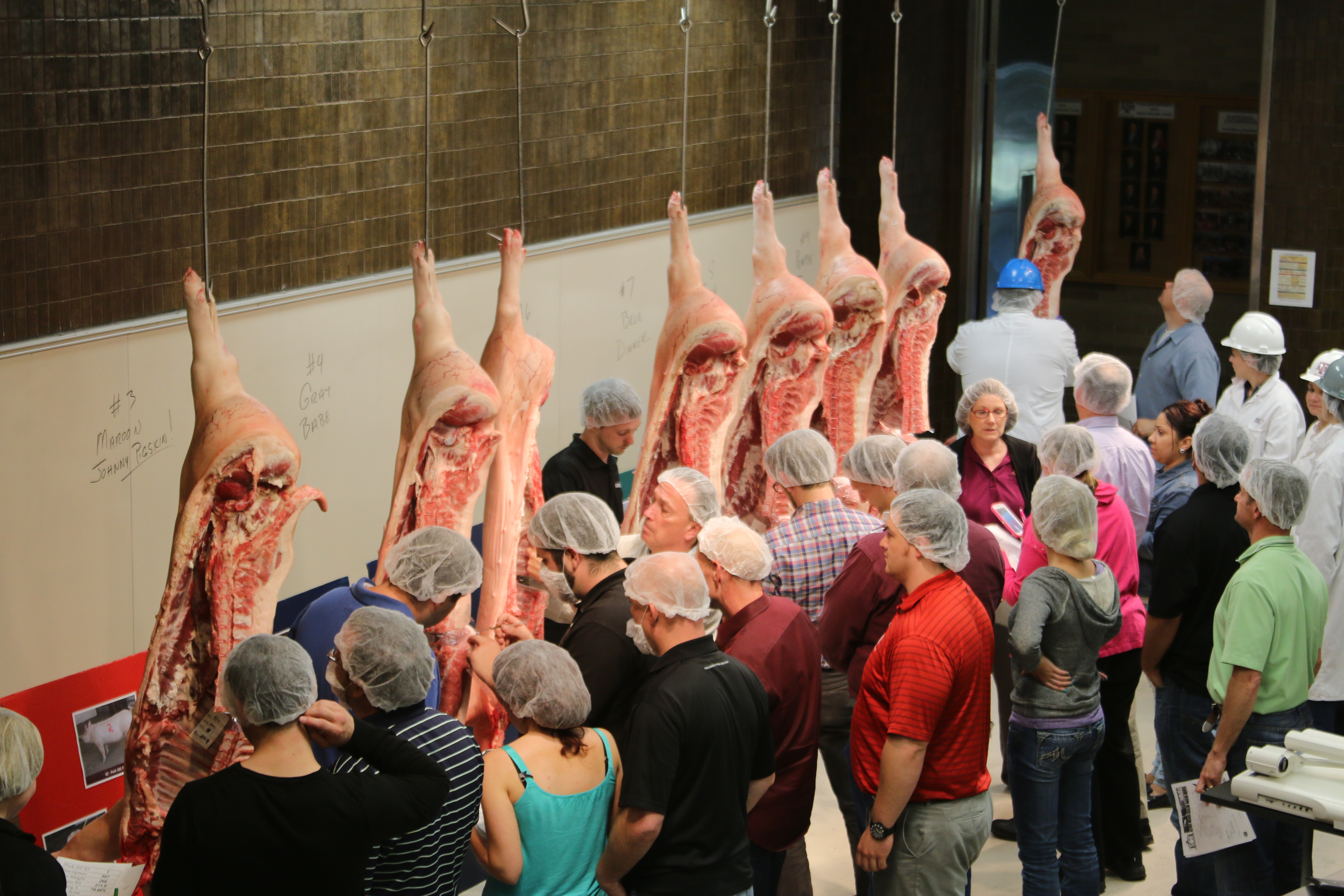Pork 101™ will be held at Texas A&M University, May 22-24, 2018