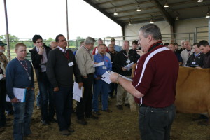 Davey Griffin assigning groups