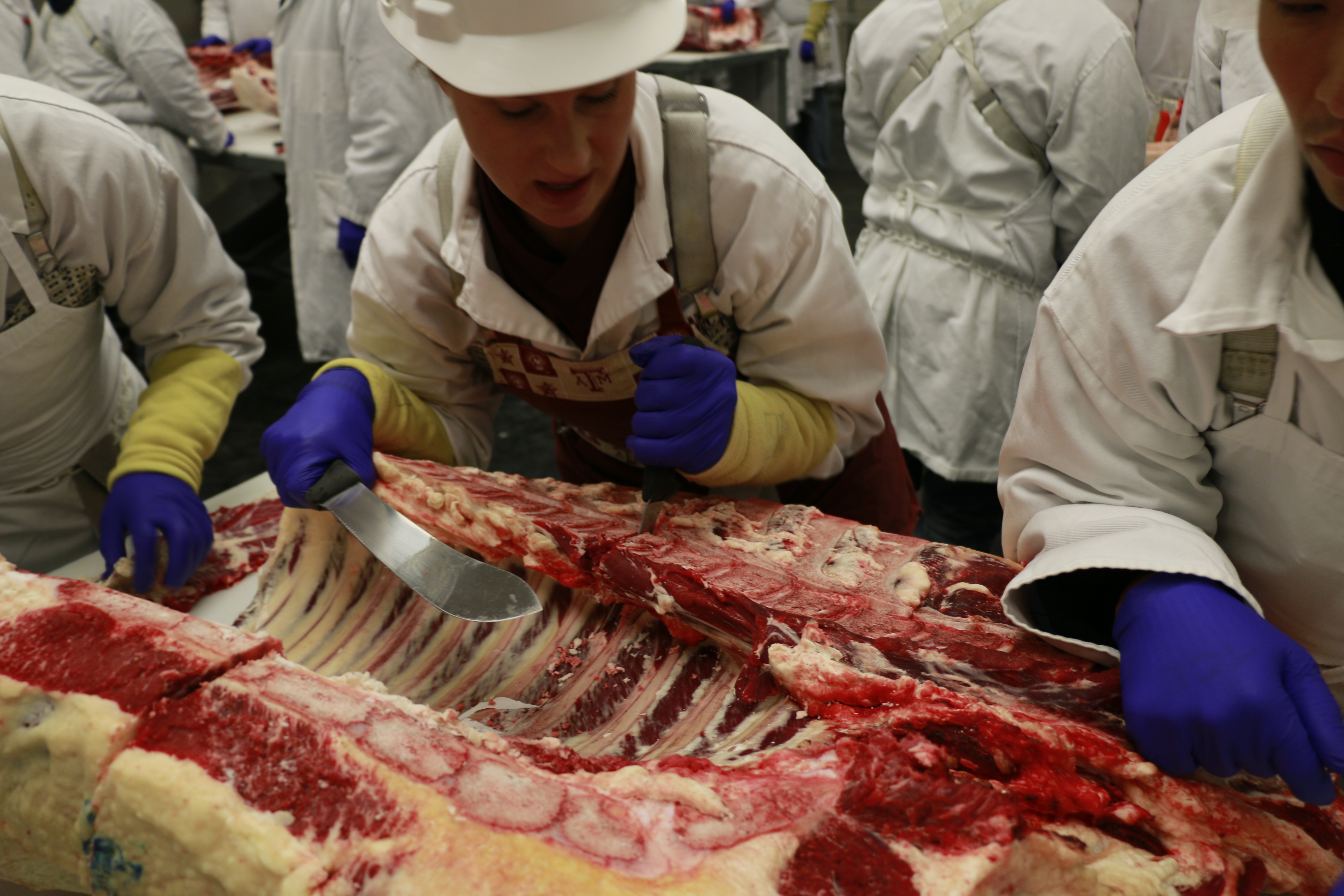25th anniversary of Beef 101 kicks off with May class