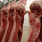 Pork carcasses in the cooler