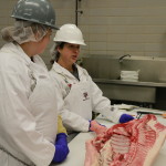 Ashley Arnold describing cutting procedures