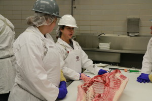 Ashley Arnold describing cutting procedures