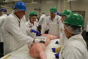 Dan Hale showing where the cuts are from