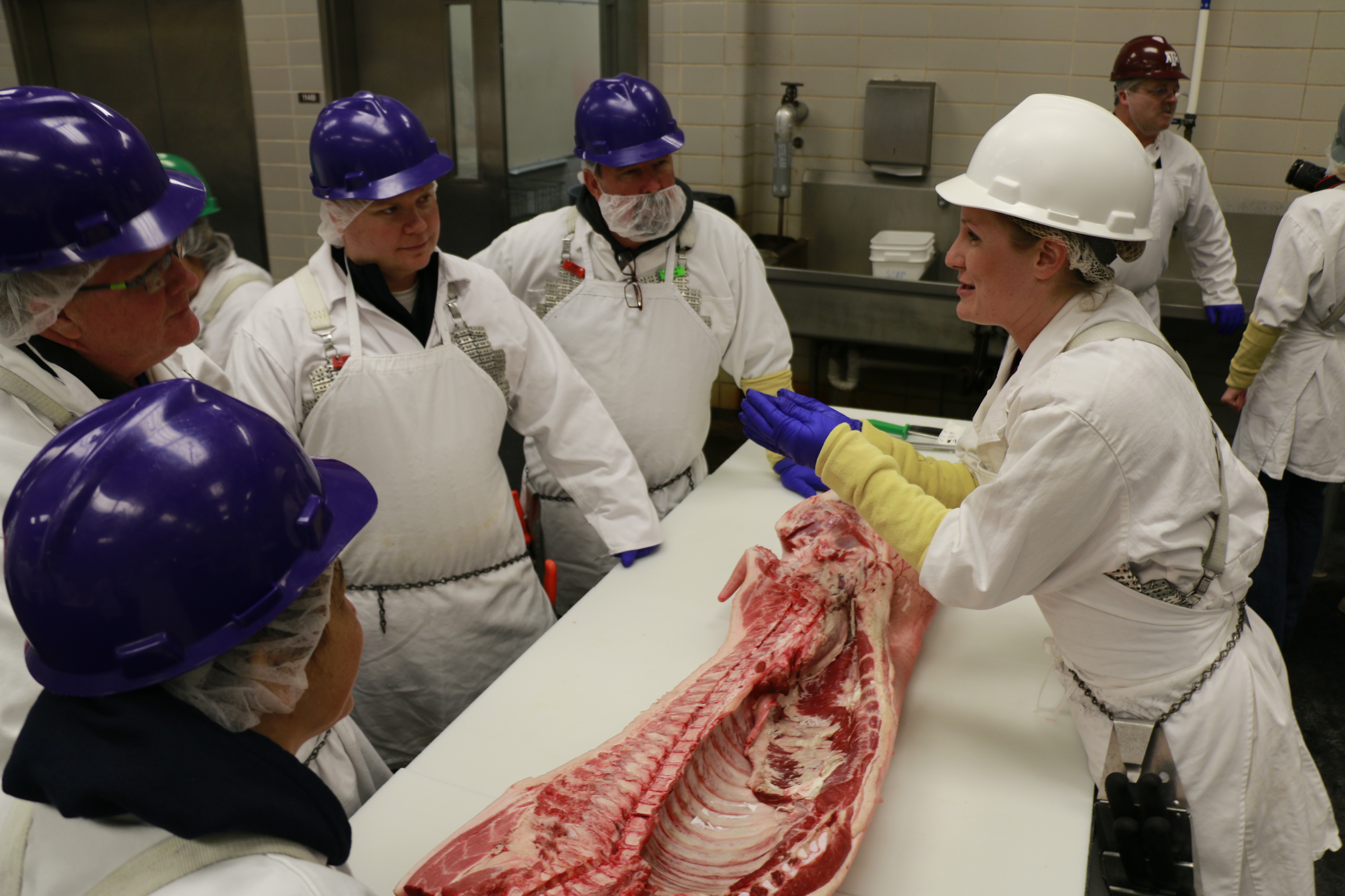 Pork 101™ held at Texas A&M University, May 20-22, 2014