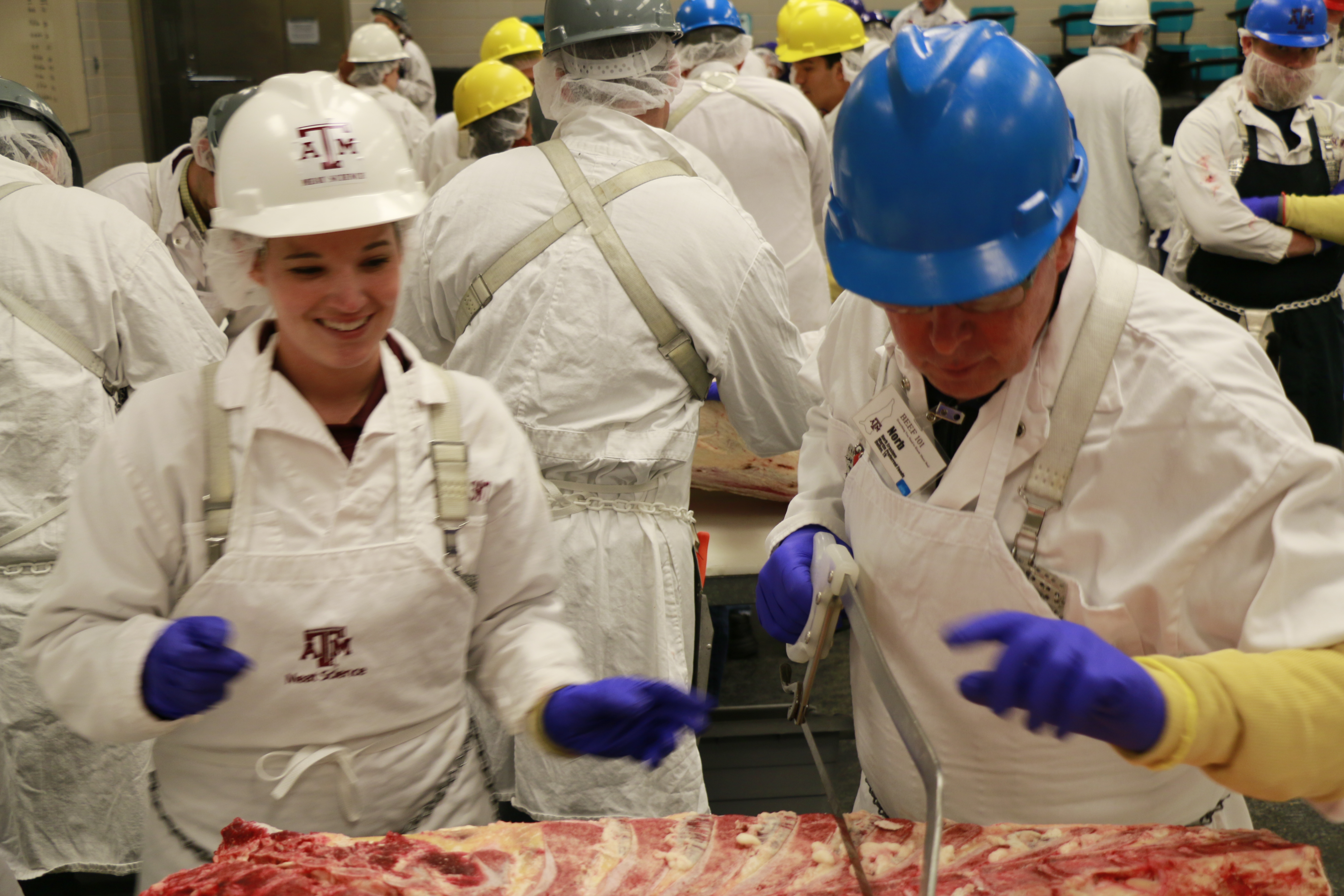 Beef 101 workshop for June 24-26, 2014 completed
