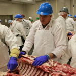 Dan Hale