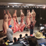 Grading demonstration on cattle that were live graded the day before