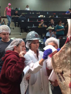 Emily Mahalitc demonstrating beef carcass grading