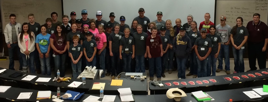 Aggie Commercial Steer Camp held on July 28-29, 2014