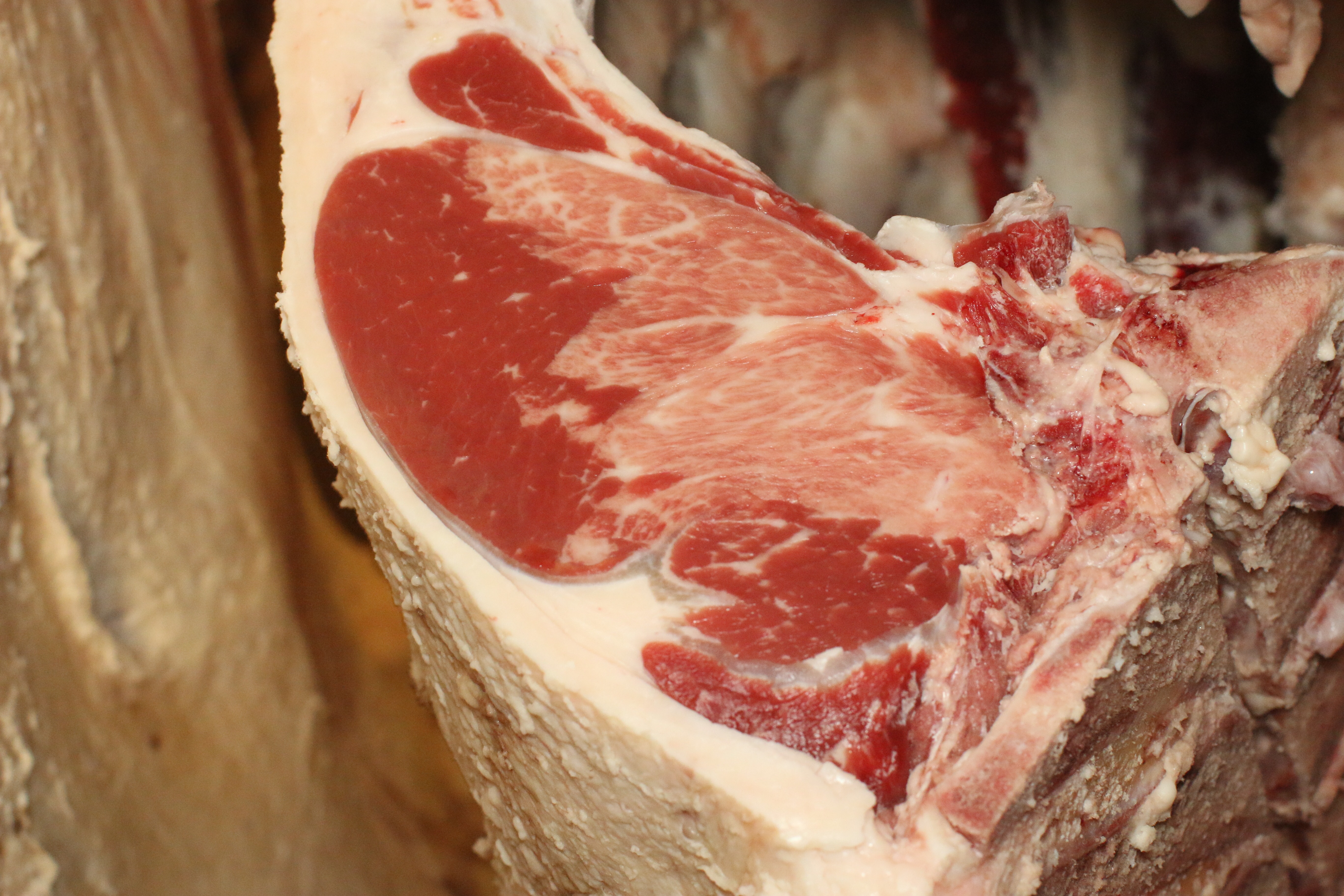 Muscular steatosis in beef ribeye