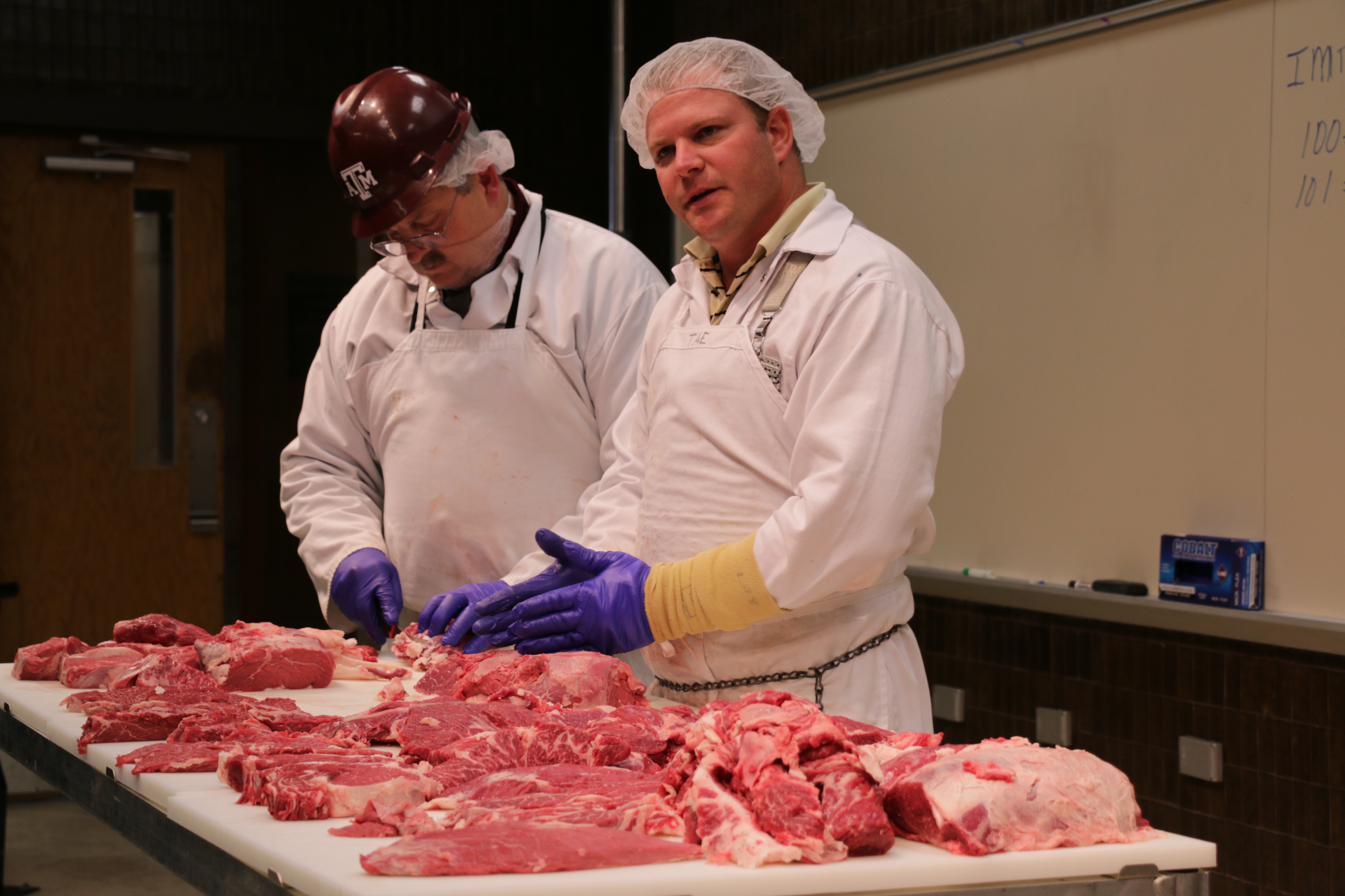Bloomin’ Brands Beef 101 program held July 14-17, 2015