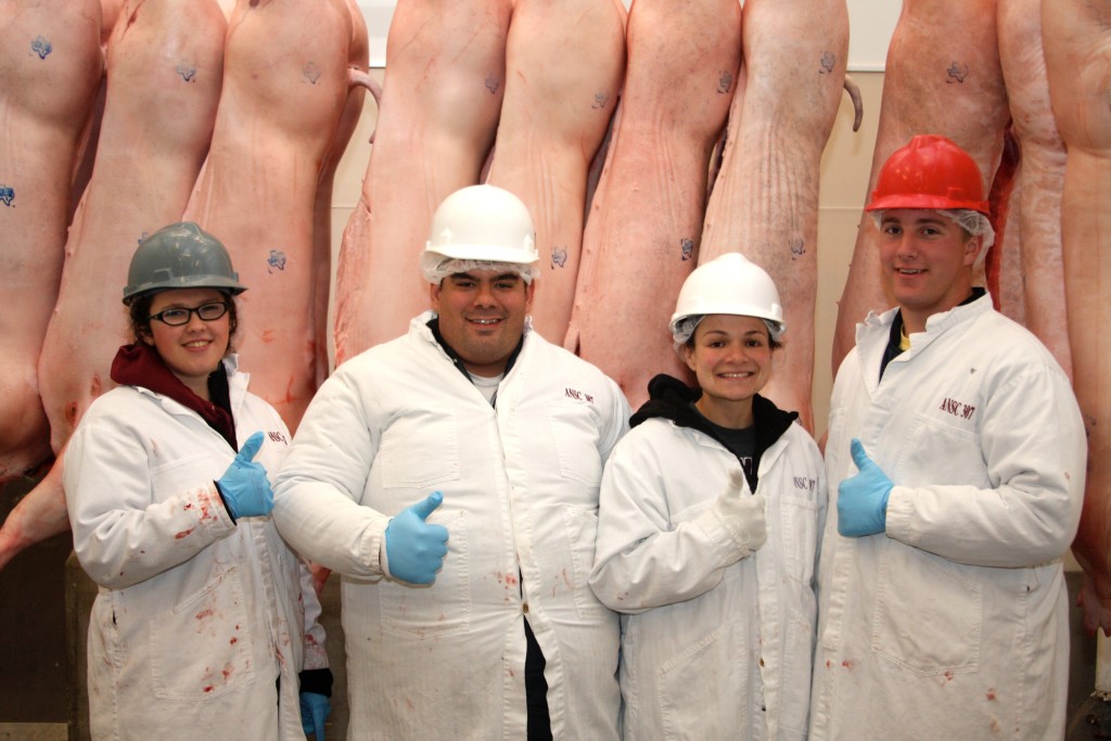 2015 Houston Livestock Show and Rodeo™ steer, barrow, lamb, and goat carcass results | AggieMeat