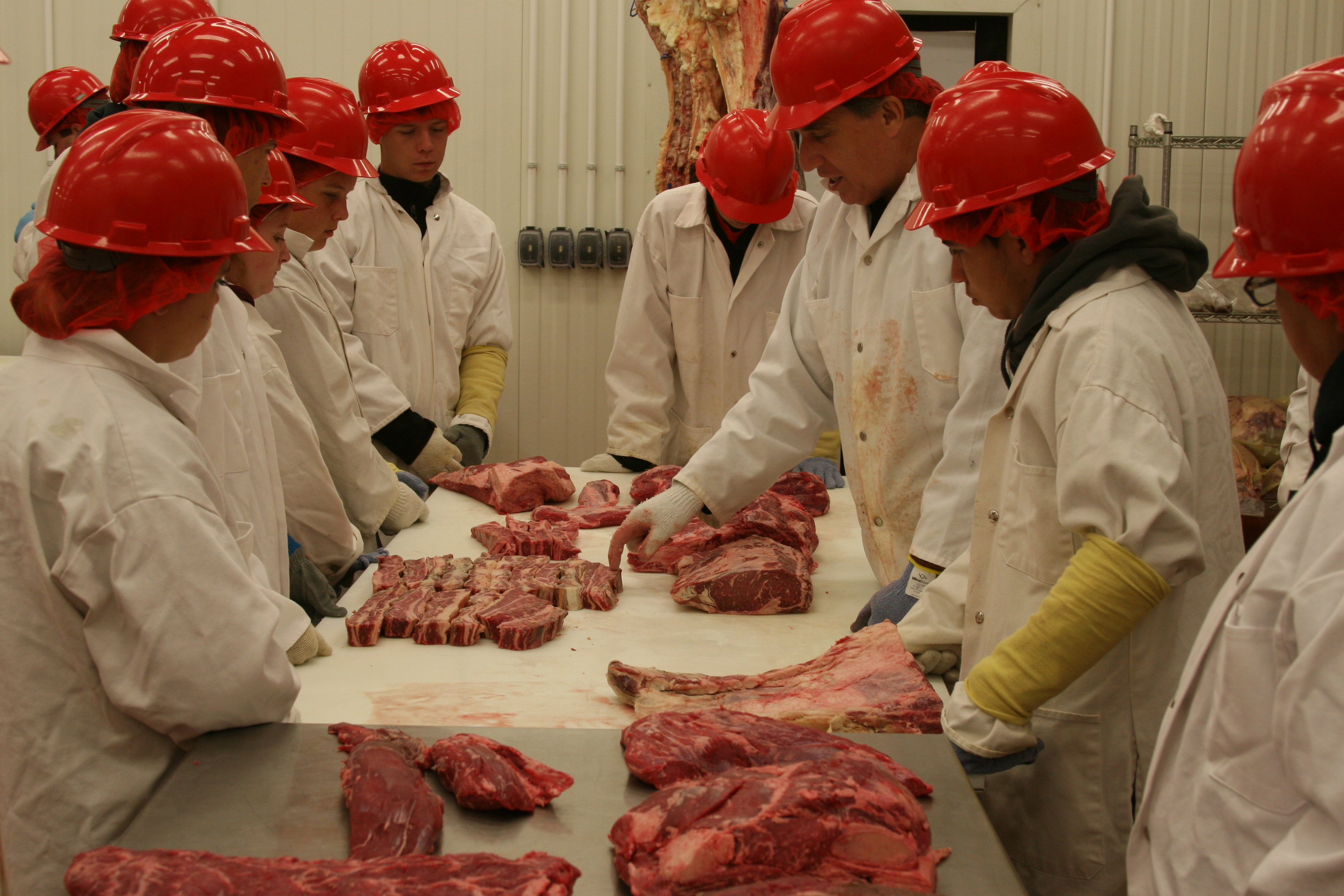 Youth Beef 706 held at Texas Tech University, July 6-7, 2015