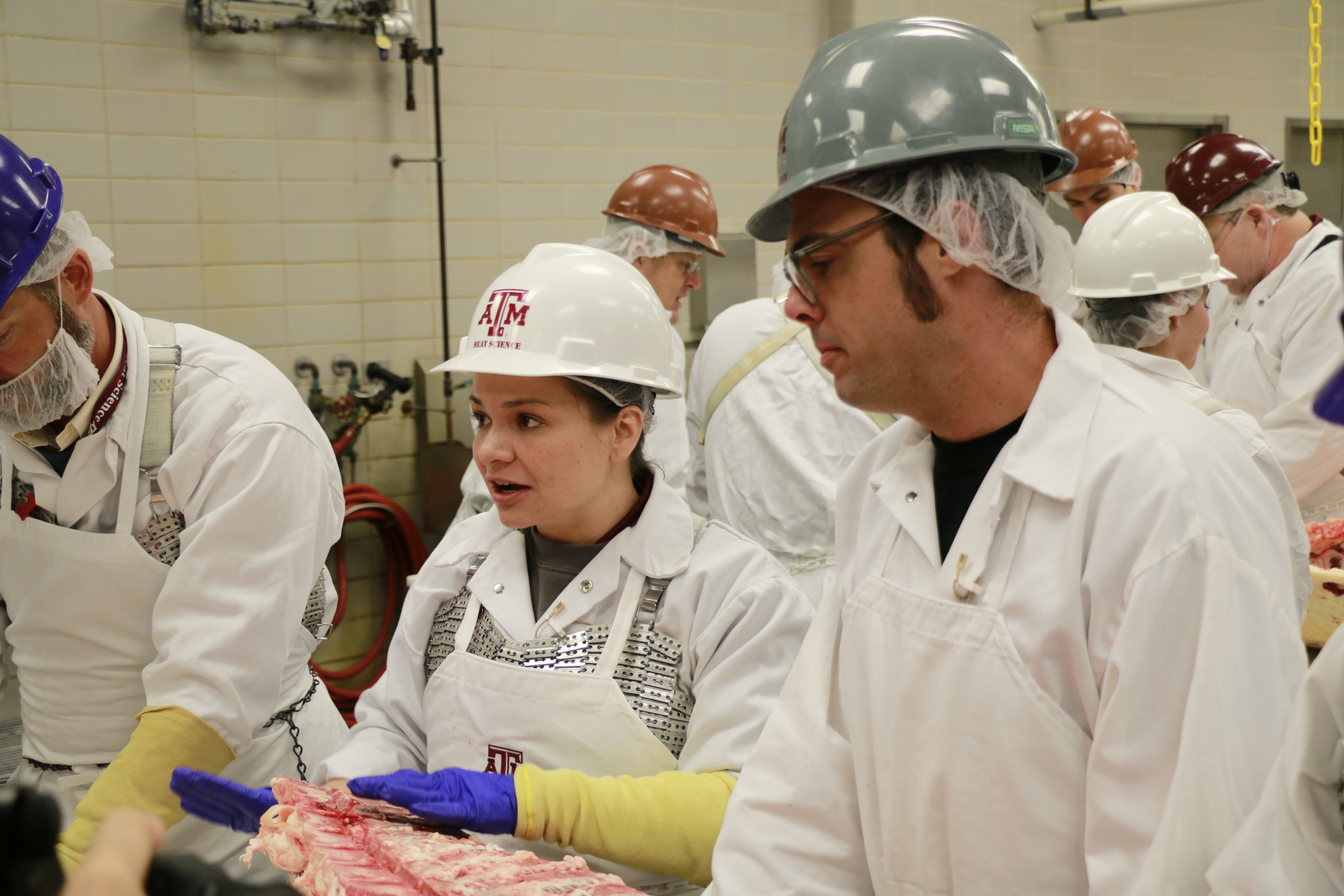 PBS series, “BBQ with Franklin,” visits Texas A&M University | Texas Barbecue
