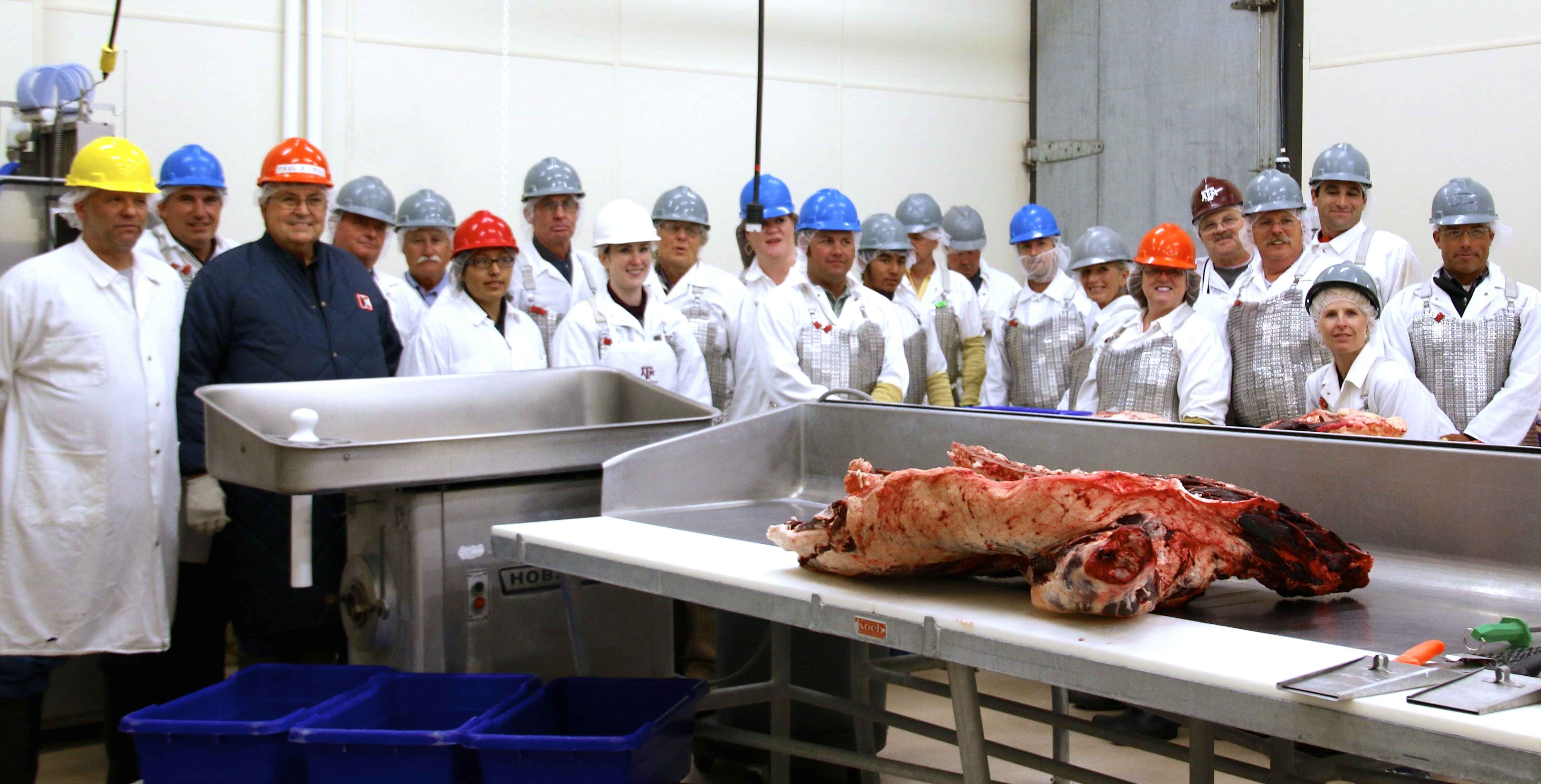 Beef 706 held at Sul Ross State University, June 29-30, 2015