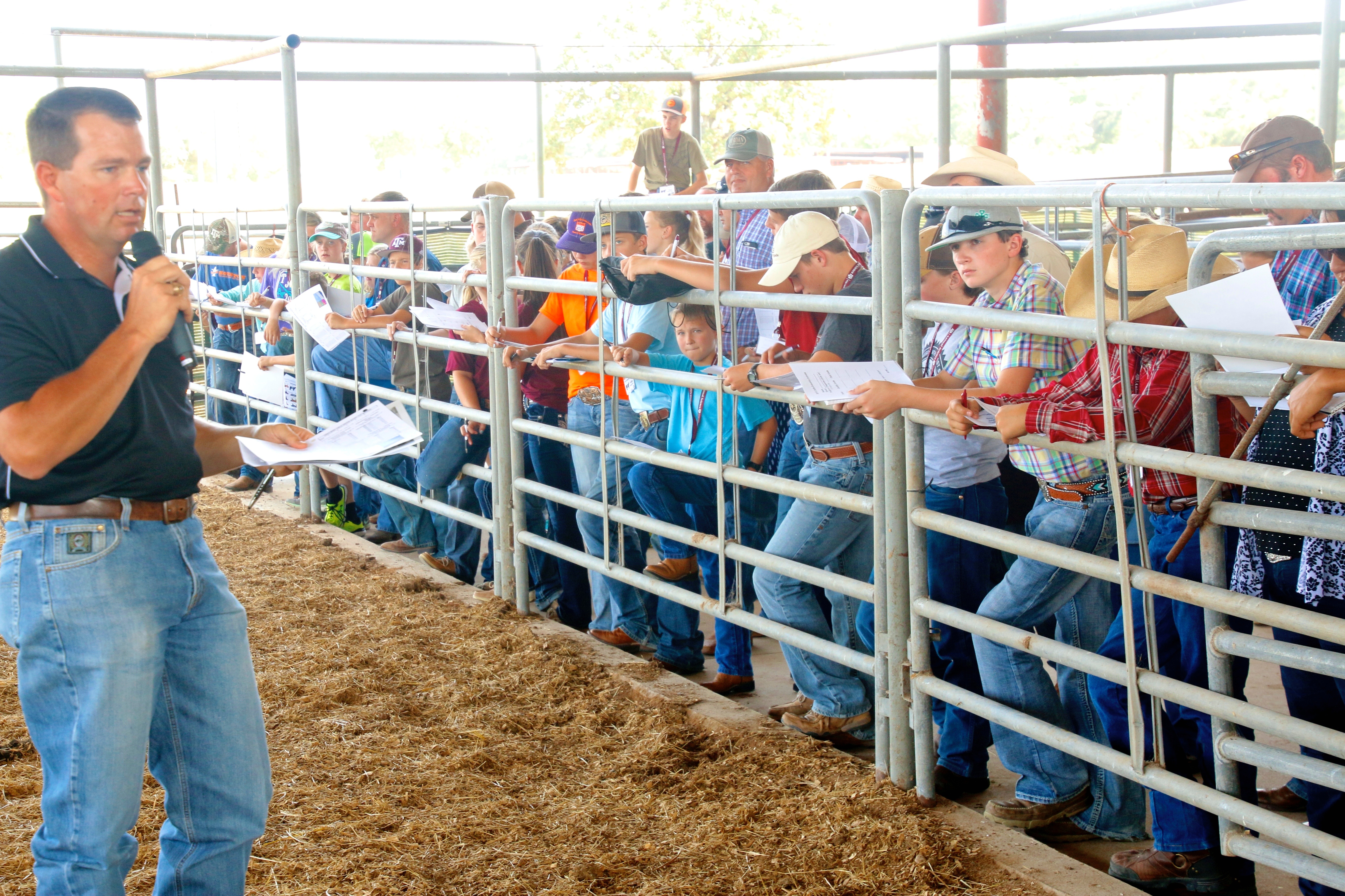 2015 Aggie Commercial Steer Camp held July 27-28, 2015