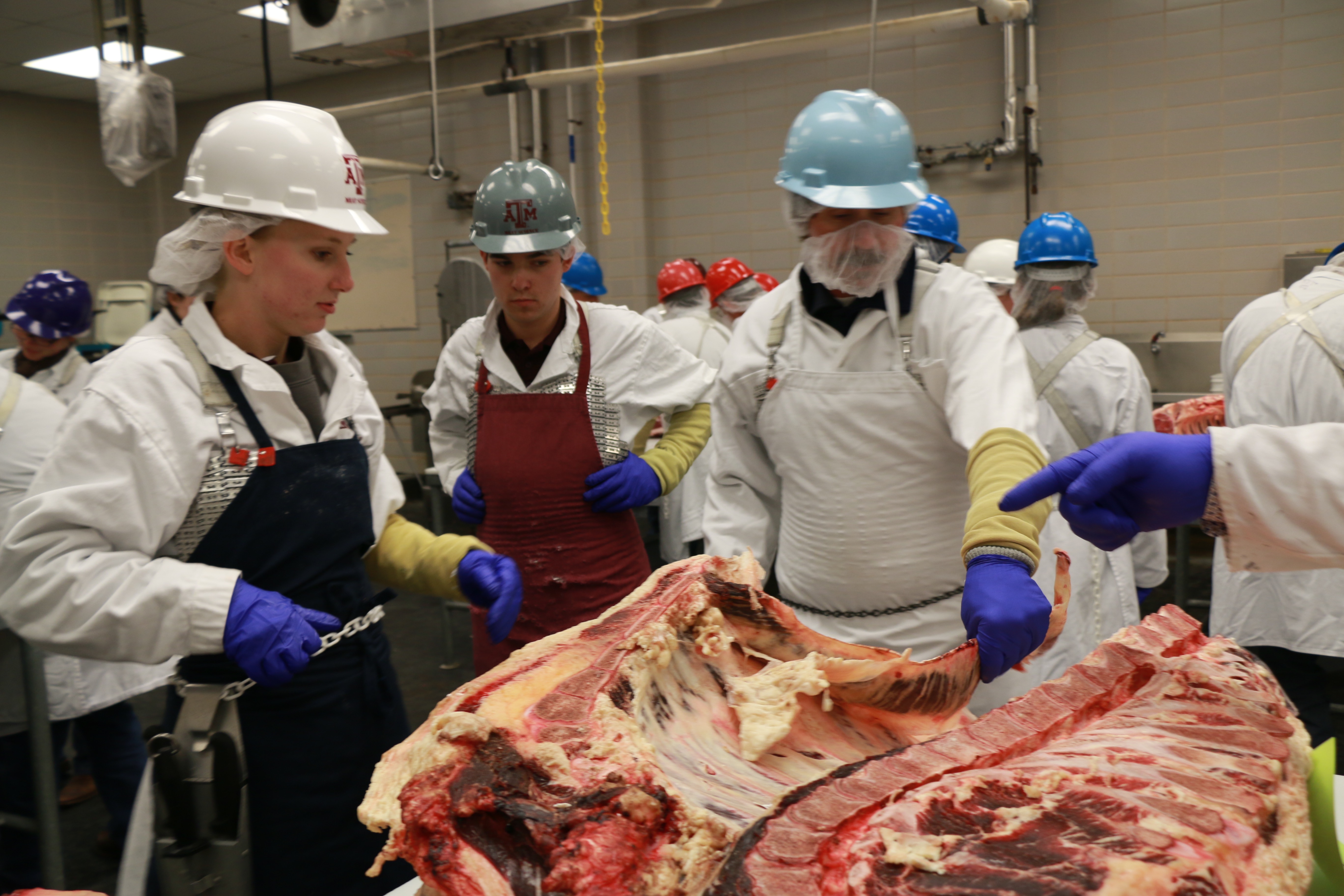 Graduate students gain leadership skills in Beef 706