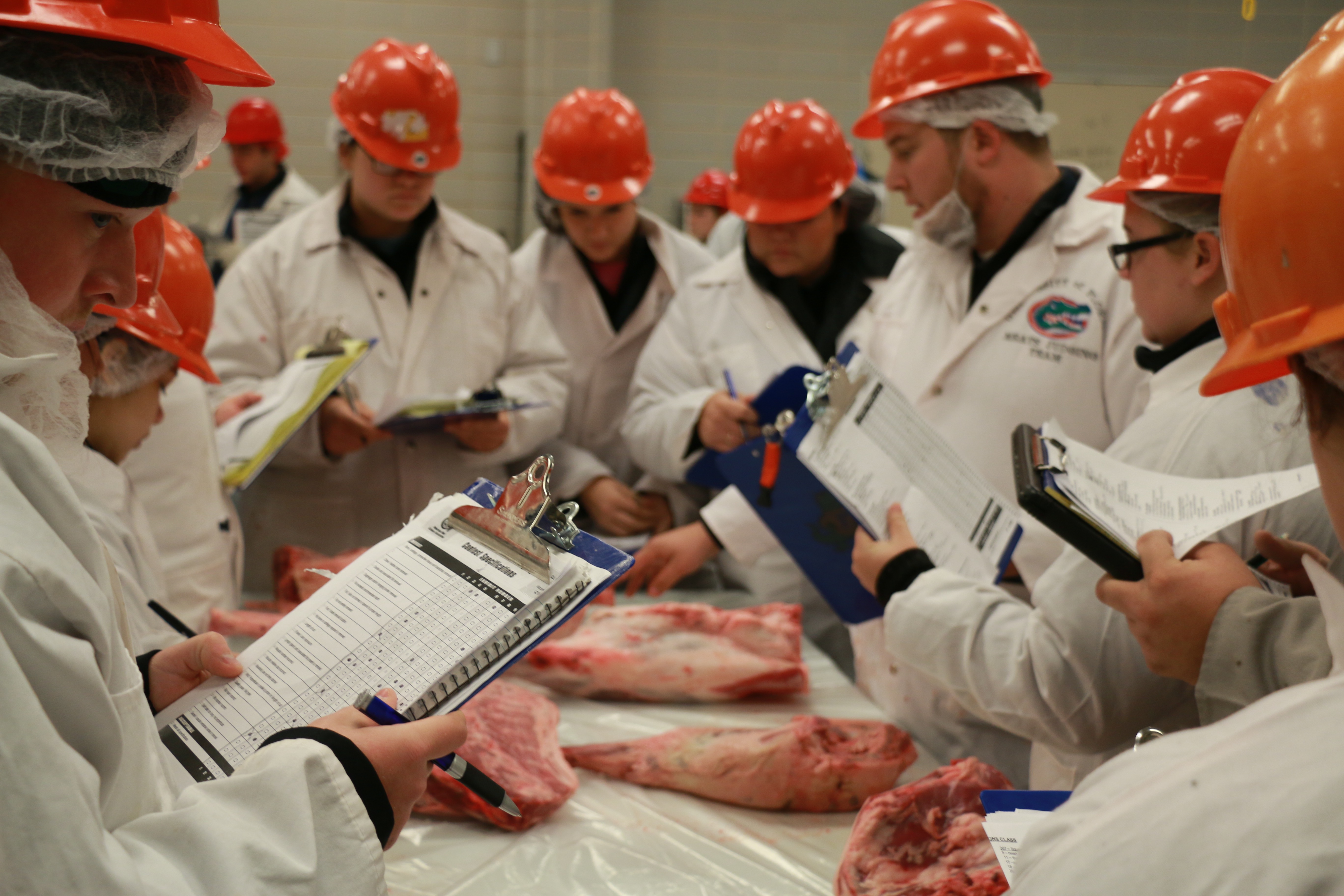 Texas A&M hosts workout for meat judging teams