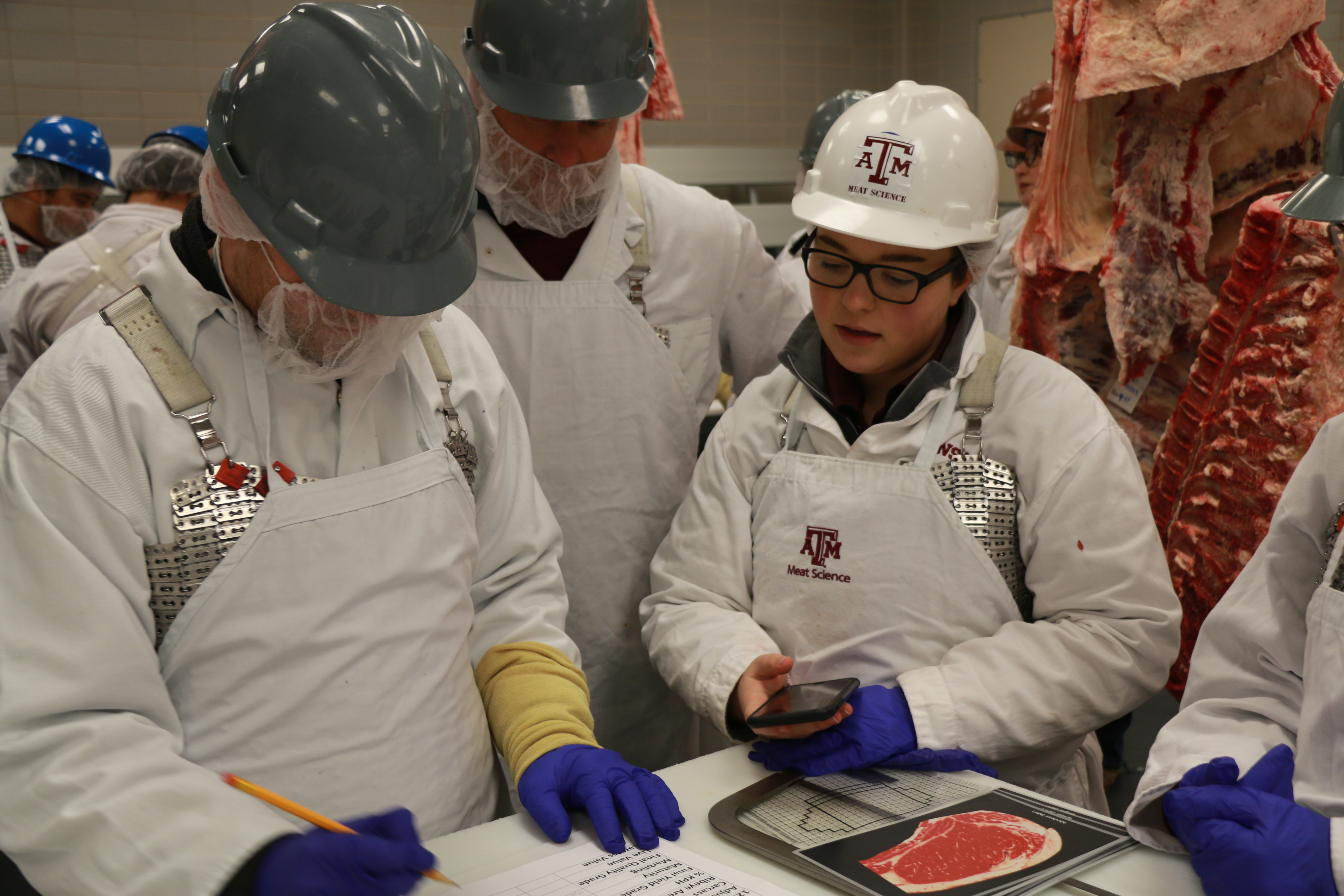 Grad students provide leadership to Beef 101 program