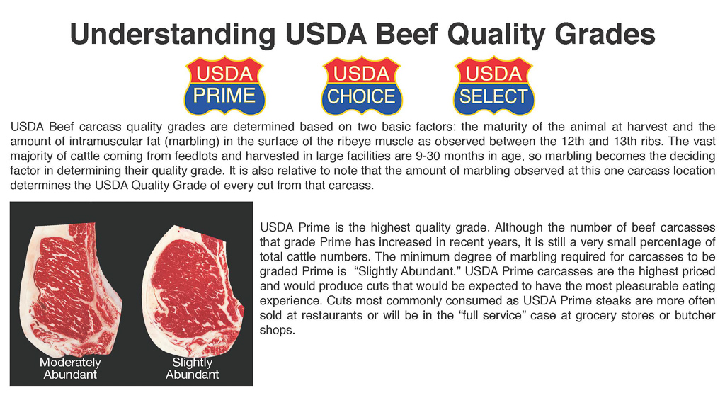 Understanding USDA beef quality grades factsheet available